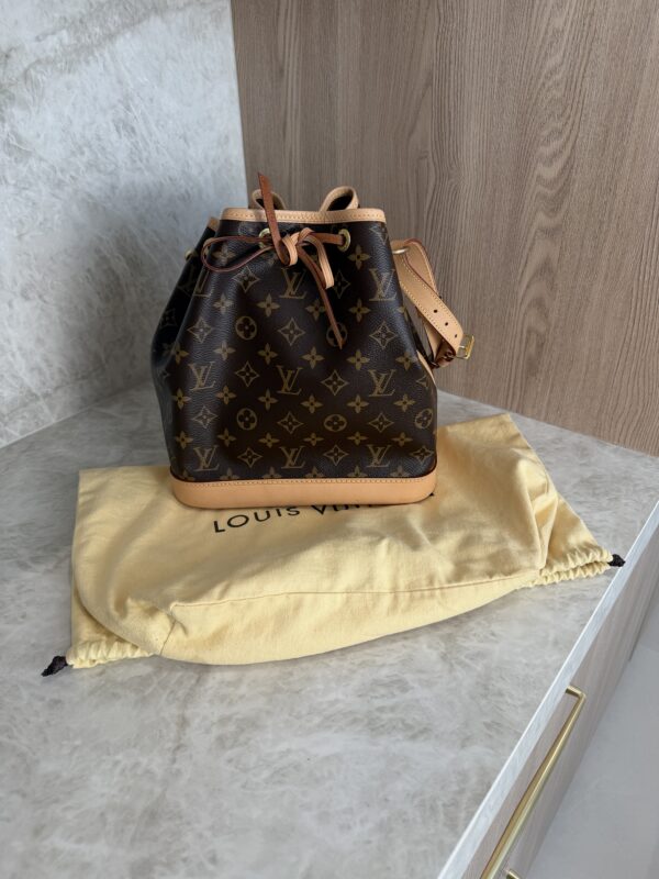 Louis Vuitton Monogram Petit Noe NM