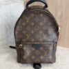 Louis Vuitton Monogram Palm Springs Backpack PM NM