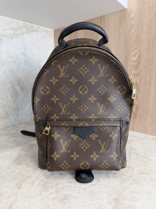 Louis Vuitton Monogram Palm Springs Backpack PM NM