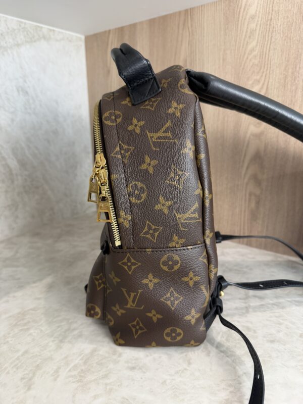 Louis Vuitton Monogram Palm Springs Backpack PM NM