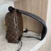 Louis Vuitton Monogram Palm Springs Backpack PM NM
