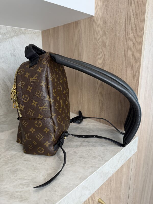 Louis Vuitton Monogram Palm Springs Backpack PM NM