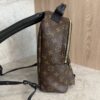 Louis Vuitton Monogram Palm Springs Backpack PM NM