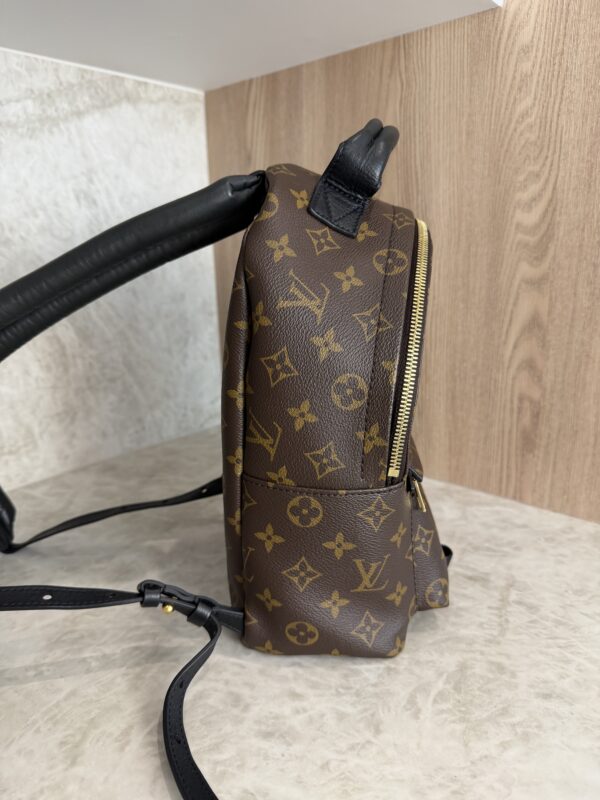Louis Vuitton Monogram Palm Springs Backpack PM NM