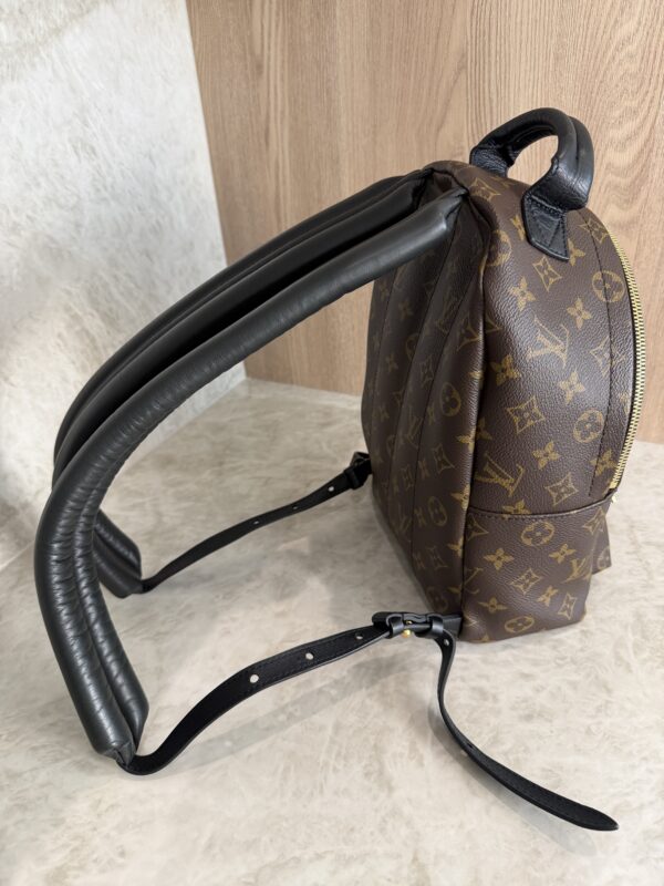 Louis Vuitton Monogram Palm Springs Backpack PM NM