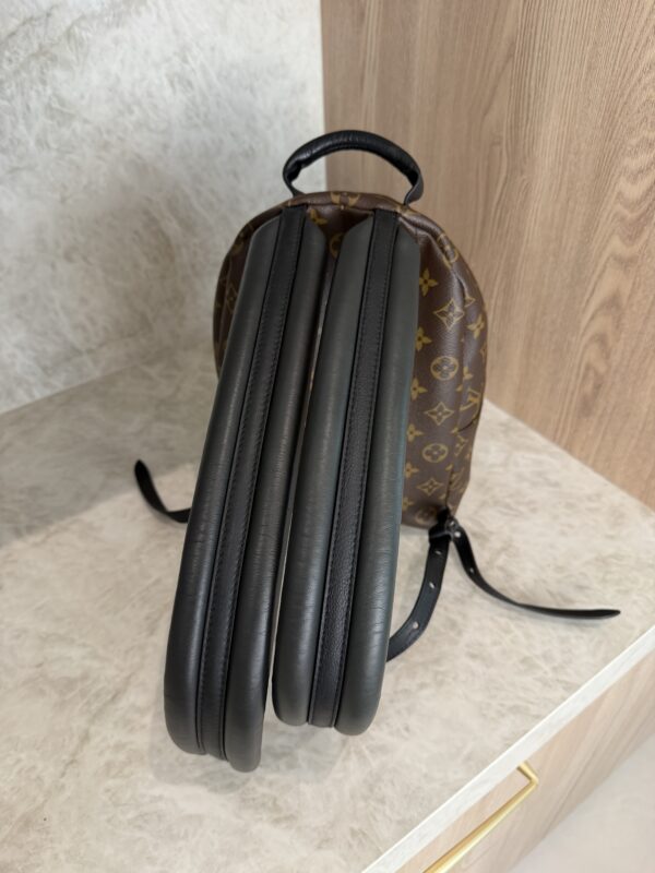 Louis Vuitton Monogram Palm Springs Backpack PM NM