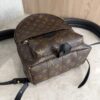 Louis Vuitton Monogram Palm Springs Backpack PM NM