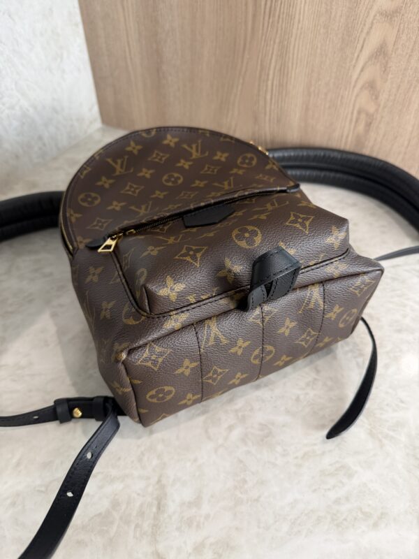Louis Vuitton Monogram Palm Springs Backpack PM NM