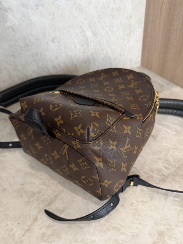 Louis Vuitton Monogram Palm Springs Backpack PM NM