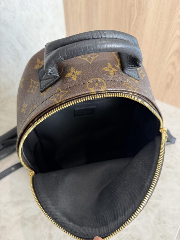 Louis Vuitton Monogram Palm Springs Backpack PM NM