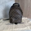 Louis Vuitton Monogram Palm Springs Backpack PM NM