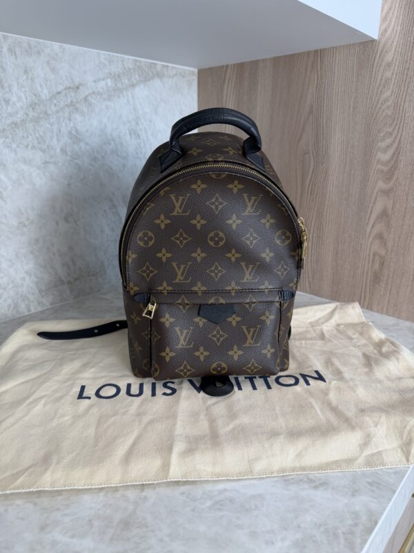 Louis Vuitton Monogram Palm Springs Backpack PM NM