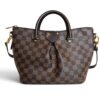 Louis Vuitton Damier Ebene Siena PM