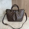 Louis Vuitton Damier Ebene Siena PM