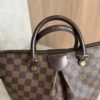 Louis Vuitton Damier Ebene Siena PM