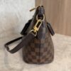 Louis Vuitton Damier Ebene Siena PM