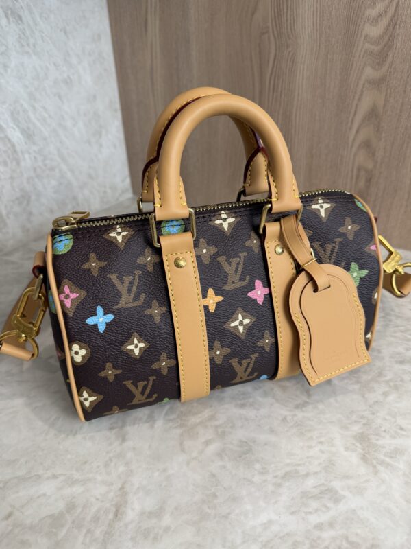 Louis Vuitton Keepall Bandouliere Bag Tyler the Creator Monogram Craggy Canvas 25
