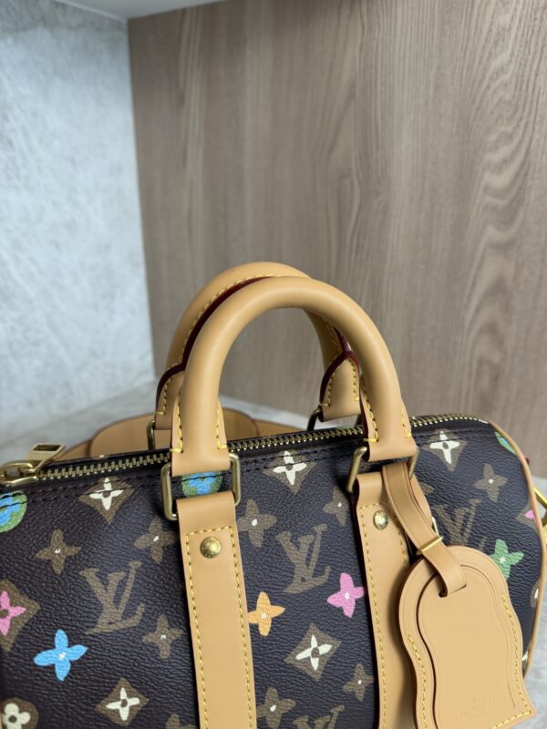 Louis Vuitton Keepall Bandouliere Bag Tyler the Creator Monogram Craggy Canvas 25