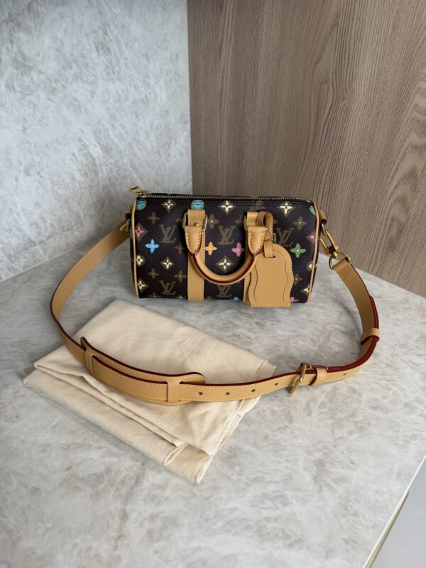 Louis Vuitton Keepall Bandouliere Bag Tyler the Creator Monogram Craggy Canvas 25