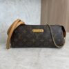 Louis Vuitton Monogram Pochette Eva