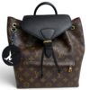 Louis Vuitton Montsouris NM Backpack Monogram Canvas with Leather PM