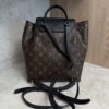 Louis Vuitton Montsouris NM Backpack Monogram Canvas with Leather PM