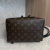Louis Vuitton Montsouris NM Backpack Monogram Canvas with Leather PM