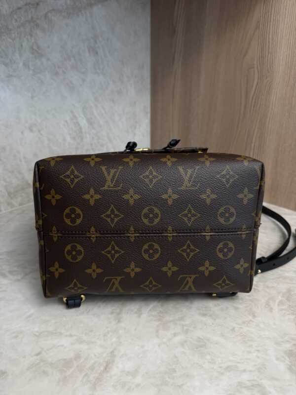 Louis Vuitton Montsouris NM Backpack Monogram Canvas with Leather PM