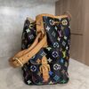 Louis Vuitton Monogram Multicolor Petit Noe Black