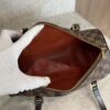 Louis Vuitton Damier Ebene Papillon 30 With Companion