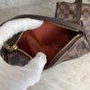 Louis Vuitton Damier Ebene Papillon 30 With Companion