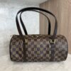 Louis Vuitton Damier Ebene Papillon 30 With Companion