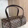 Louis Vuitton Damier Ebene Papillon 30 With Companion