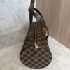 Louis Vuitton Damier Ebene Papillon 30 With Companion