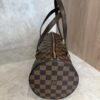 Louis Vuitton Damier Ebene Papillon 30 With Companion