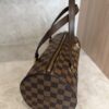 Louis Vuitton Damier Ebene Papillon 30 With Companion