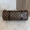 Louis Vuitton Damier Ebene Papillon 30 With Companion