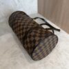 Louis Vuitton Damier Ebene Papillon 30 With Companion