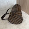 Louis Vuitton Damier Ebene Papillon 30 With Companion