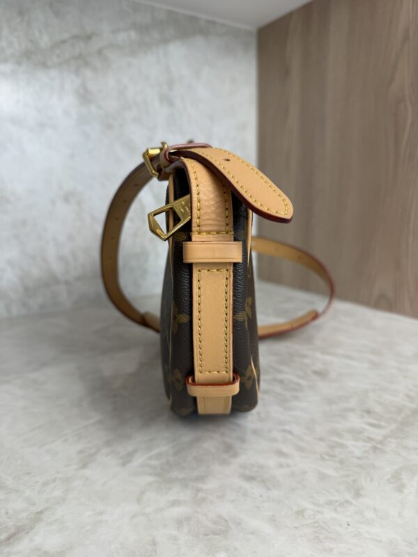 Louis Vuitton Monogram Croissant MM NM