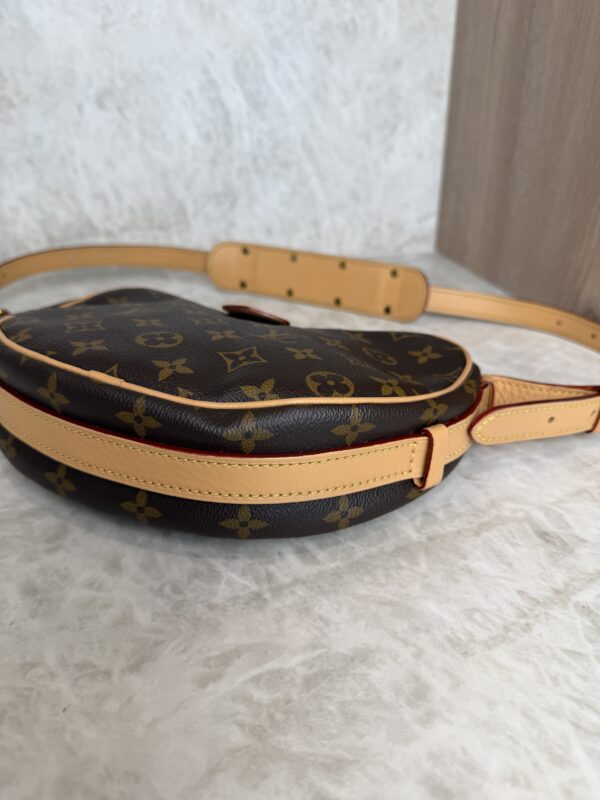 Louis Vuitton Monogram Croissant MM NM