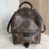 Louis Vuitton Monogram Palm Springs Mini