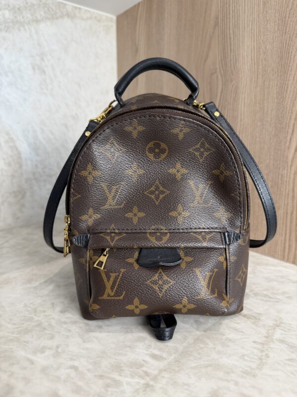 Louis Vuitton Monogram Palm Springs Mini