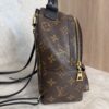 Louis Vuitton Monogram Palm Springs Mini