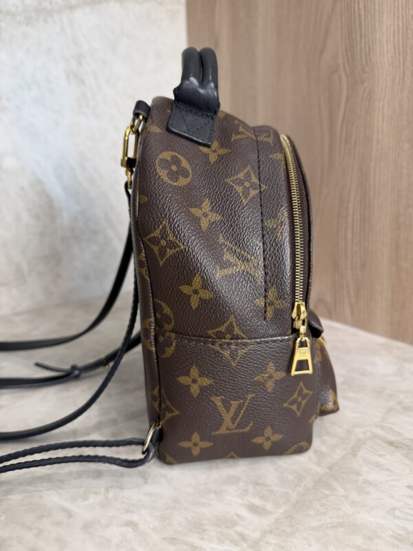 Louis Vuitton Monogram Palm Springs Mini