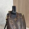 Louis Vuitton Monogram Palm Springs Mini