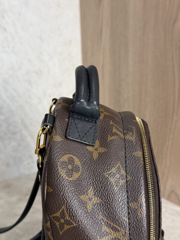 Louis Vuitton Monogram Palm Springs Mini