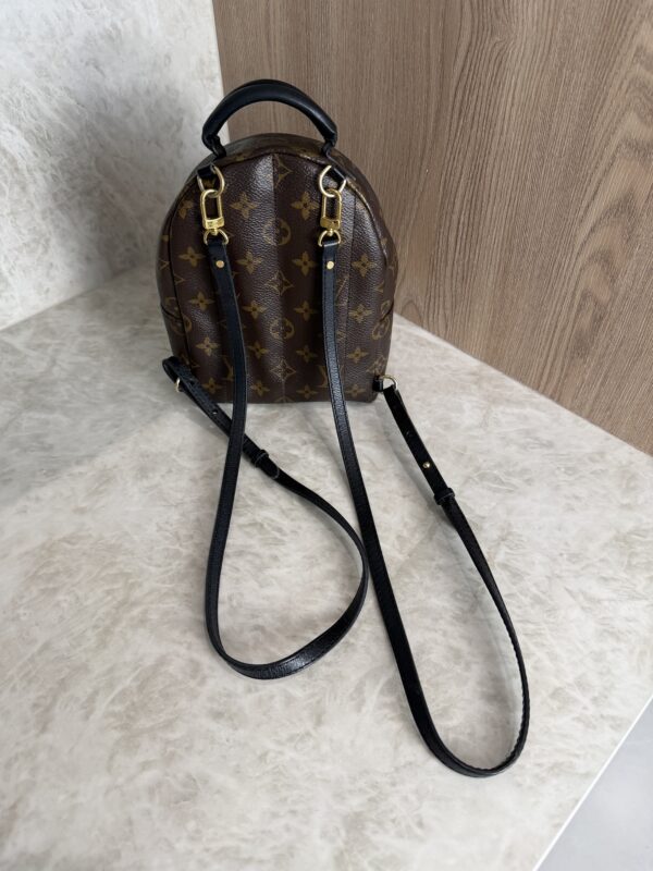 Louis Vuitton Monogram Palm Springs Mini