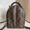 Louis Vuitton Monogram Palm Springs Mini