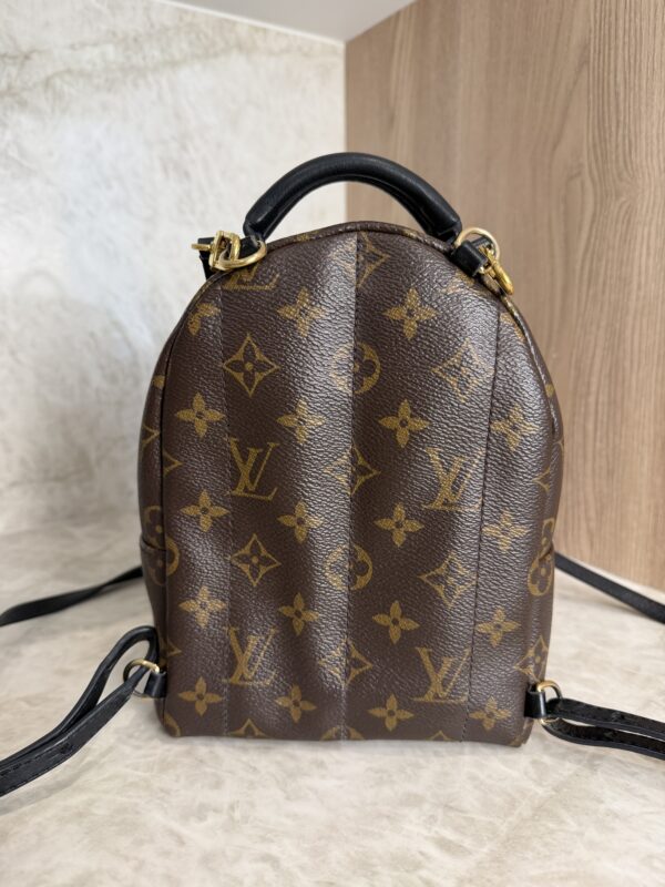 Louis Vuitton Monogram Palm Springs Mini